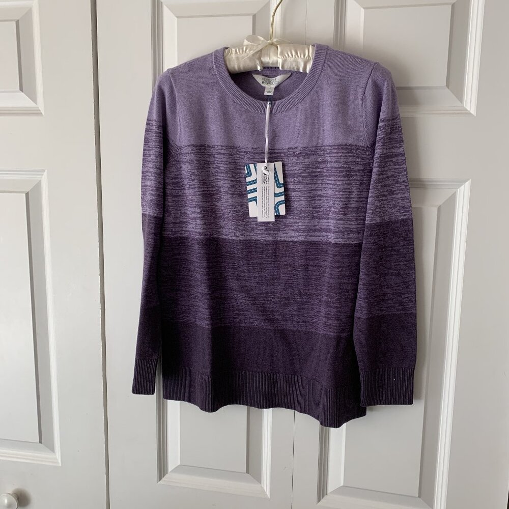 Market & Spruce Sorian Ombre Sweater Small NWT